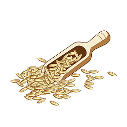 秋天种子装饰素材图案