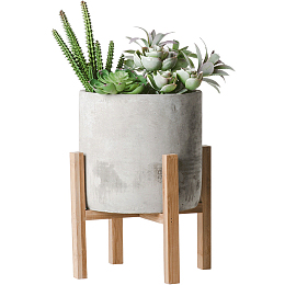 卡通手绘盆栽肉肉仙人掌