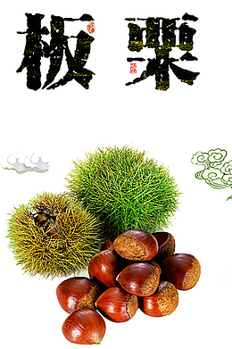新鲜板栗