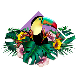 矢量一只大嘴鸟下载