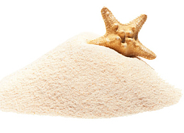 一堆细沙里的海星