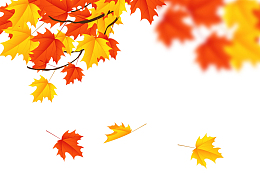 矢量秋季缤纷落叶下载