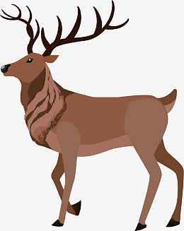 行走的巨大的驼鹿