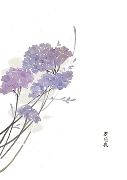 矢量勿忘我
