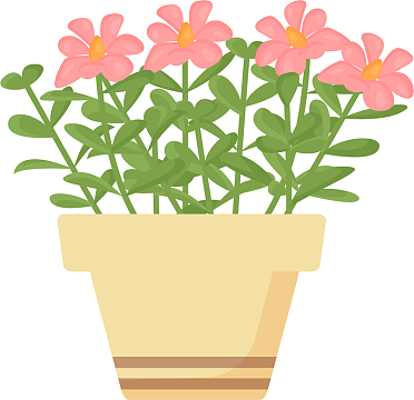 灌木 植物花朵png盆花  花盆 植物花卉 园林景观png一盆花png卡通植物