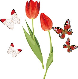 3D郁金香手绘郁金香花