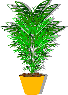 卡通植物盆栽免抠png装饰图案