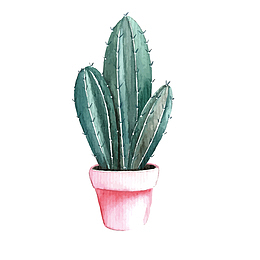 可爱的粉色仙人球免抠素材