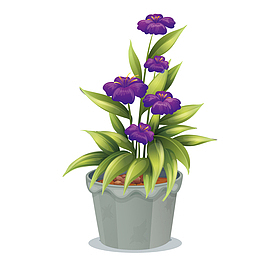 矢量长春花