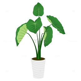 盆栽植物矢量图下载