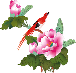 站在花枝上的小鸟