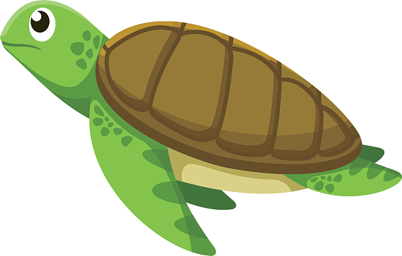 卡通海龟png最古老的爬行动物鳄龟实物png陆地乌龟爬行jpg矢量手绘