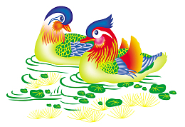 卡通手绘鸳鸯