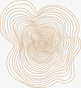 不规则木桩年轮线条图