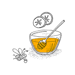 手绘素描蜂蜜免抠下载