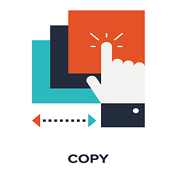 信息多样化参考复制