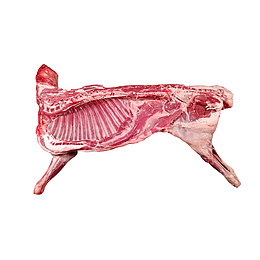 羊肉设计素材图片