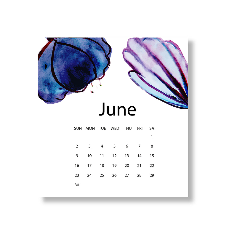 蓝白色2019年6月花朵日历