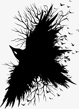 万圣节乌鸦图片_万圣节乌鸦素材_觅元素