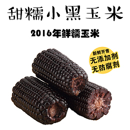 忻州黑糯玉米