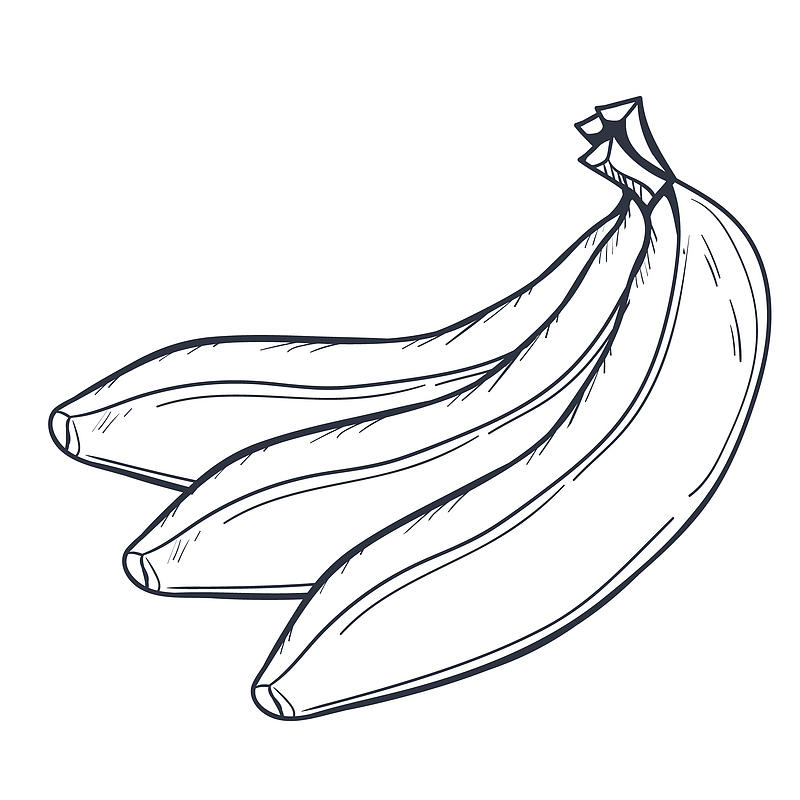 水果香蕉黑色素描