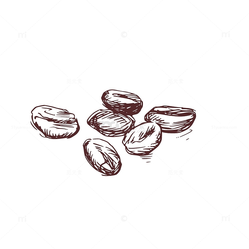 素描咖啡豆