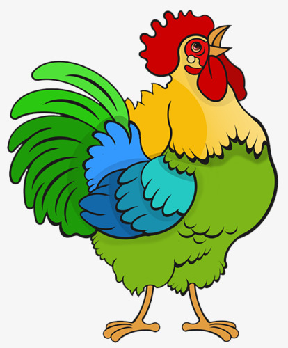 公鸡素材图片