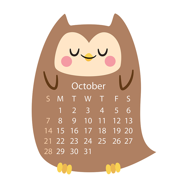 咖啡色猫头鹰2018年十月动物日历