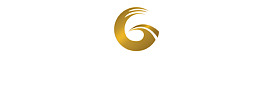 帝盛文化logo