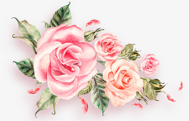 粉色情人节玫瑰花丛