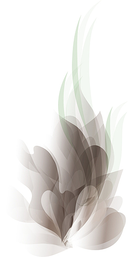 线描羽毛免抠png装饰