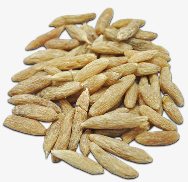 麦冬药材产品实物