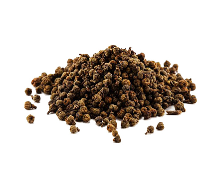 >山茱萸吴茱萸插茱萸插茱萸茱萸茱萸花中药茱萸茱萸手绘中药吴茱萸