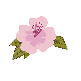 手绘杜鹃花花瓣矢量