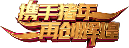 携手猪年再创辉煌立体艺术字