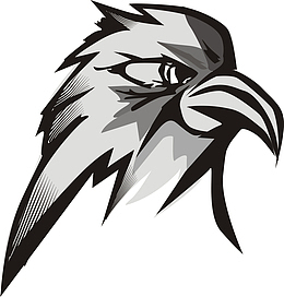 手绘黑白白头鹰头