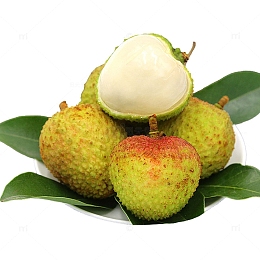 海南妃子笑荔枝摄影