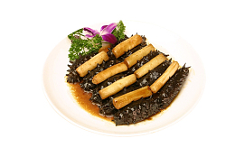 鲁菜葱烧海参摄影