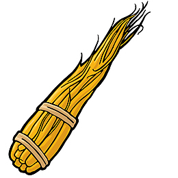 矢量人参免抠PNG