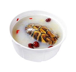 枸杞大枣甲鱼汤图片