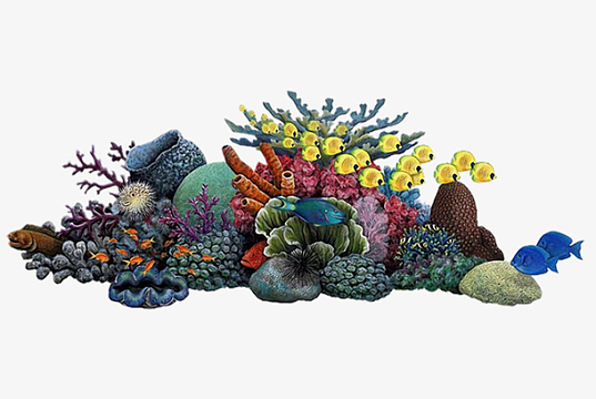 png珊瑚礁 鱼 海洋 海底 海底世界png珊瑚更新于2023-04-20相关专题