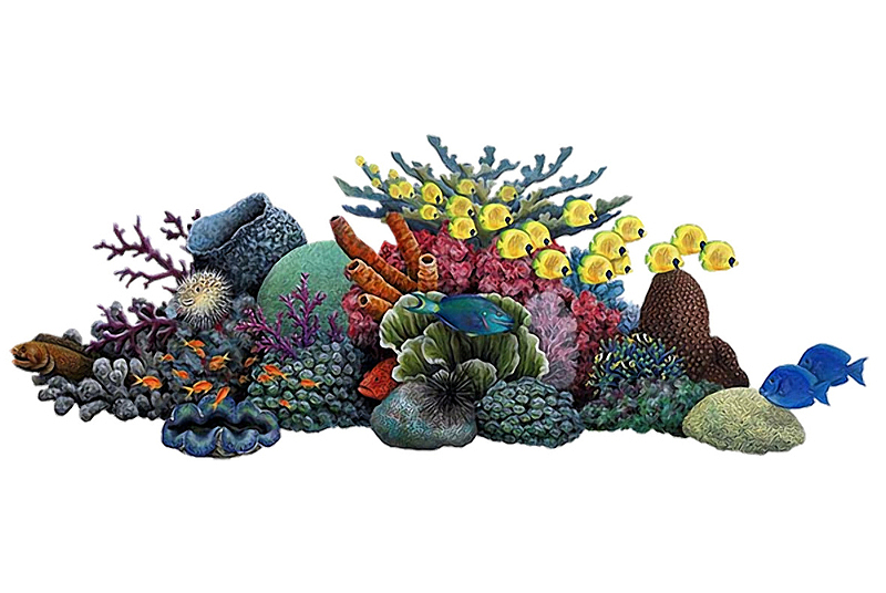 珊瑚礁素材