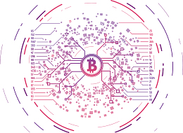 矢量比特币数据与代码