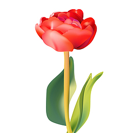 矢量百合花