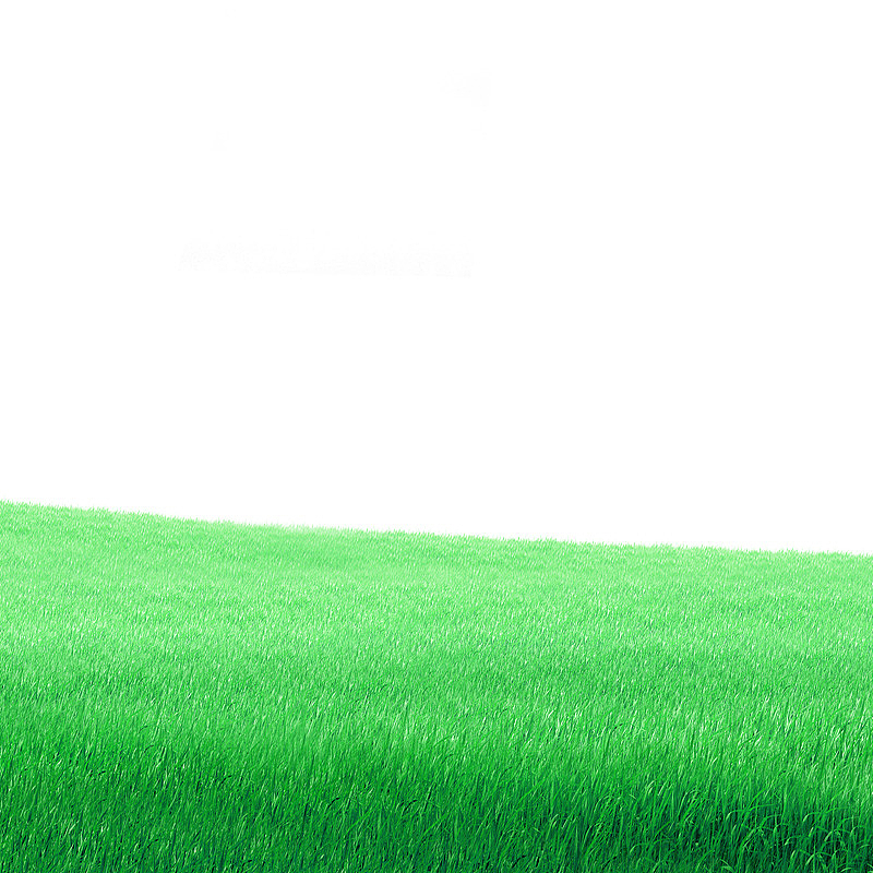 绿色梦幻草地边框纹理