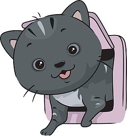 从出口钻出的小猫咪