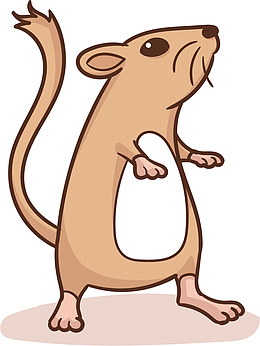 矢量图站立的老鼠