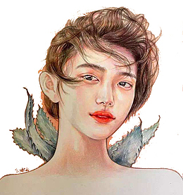 优雅美丽女性粉笔画