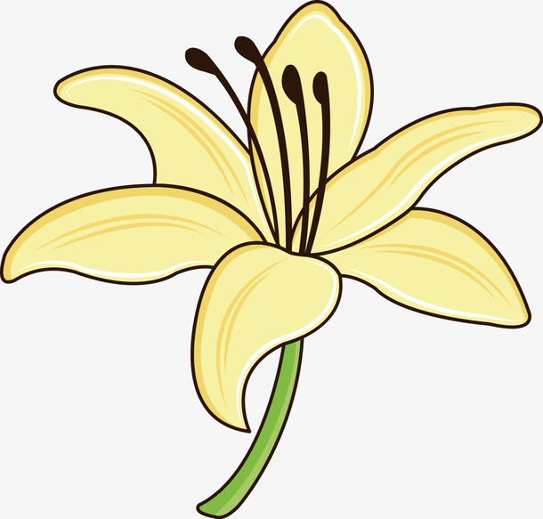 黄色百合花朵免抠png素材