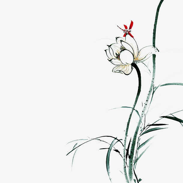 蜻蜓点水